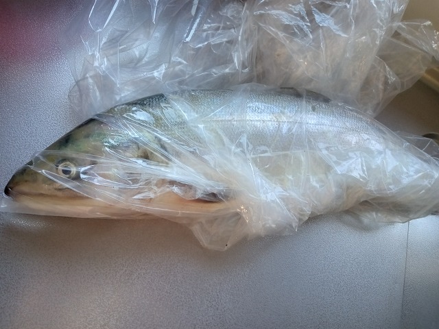 ファイル 107-4.jpg