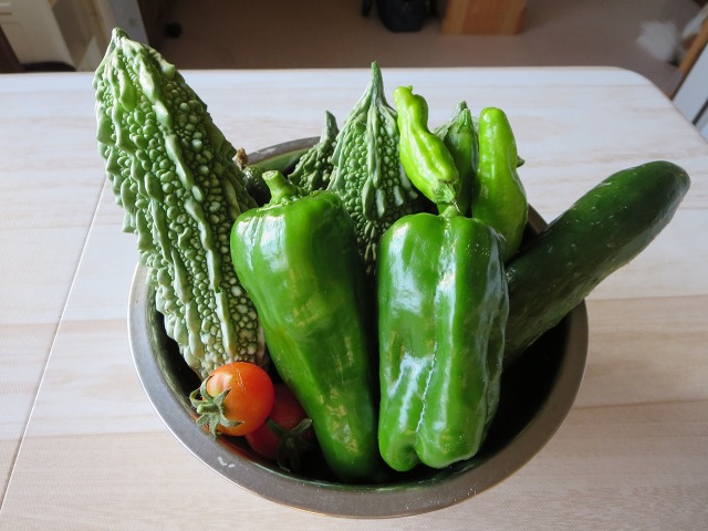 ファイル 108-1.jpg