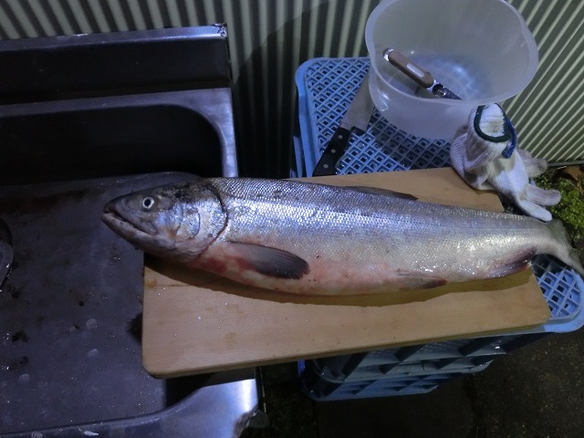 ファイル 109-1.jpg