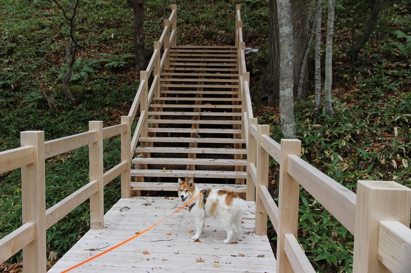 ファイル 114-2.jpg