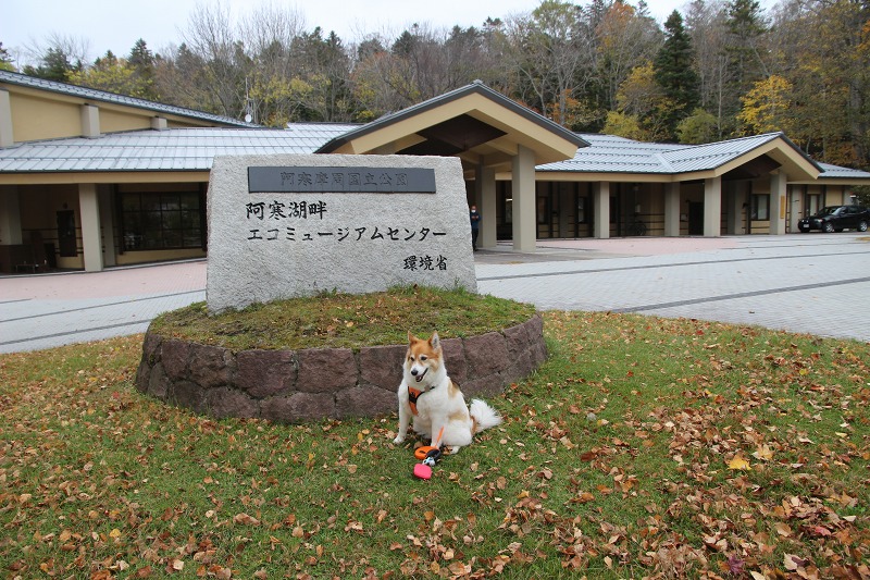 ファイル 114-5.jpg