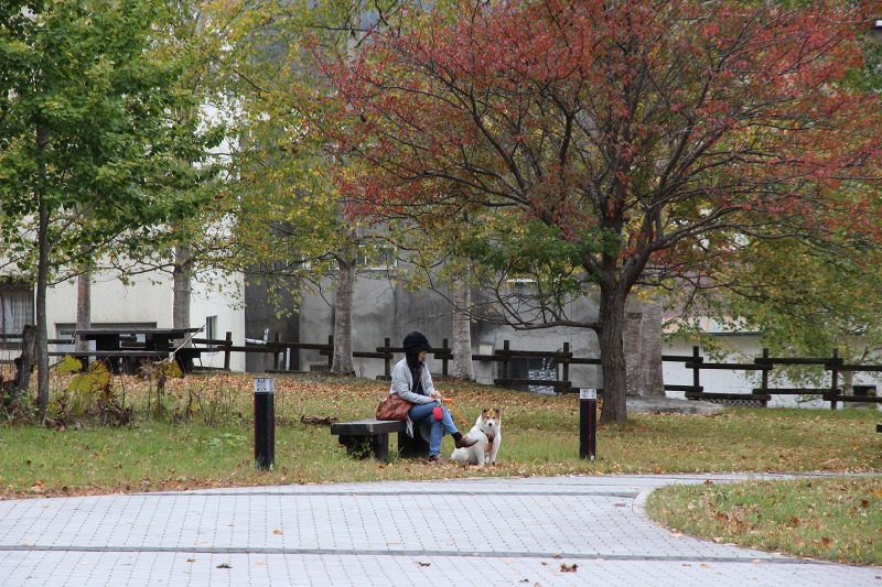 ファイル 114-8.jpg