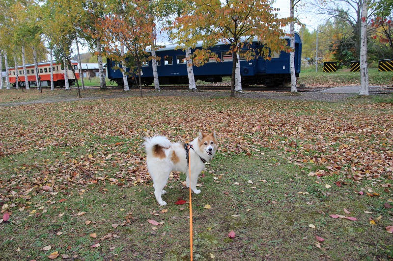 ファイル 116-7.jpg