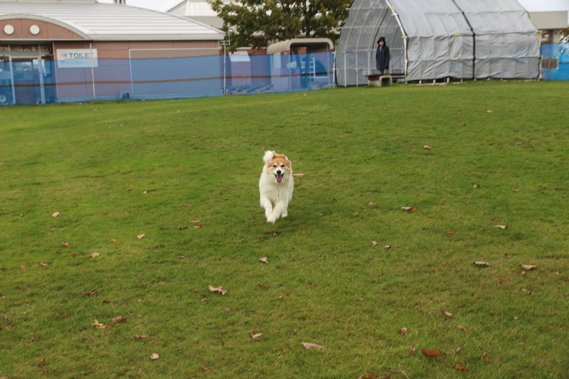 ファイル 118-5.jpg