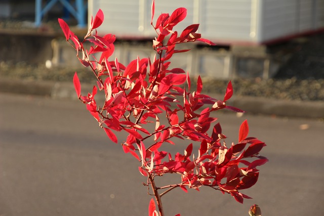 ファイル 120-4.jpg