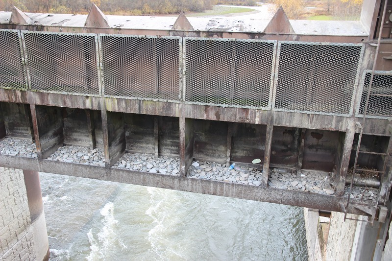 ファイル 126-7.jpg