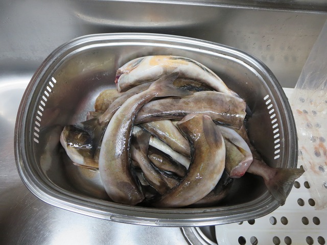 ファイル 128-1.jpg