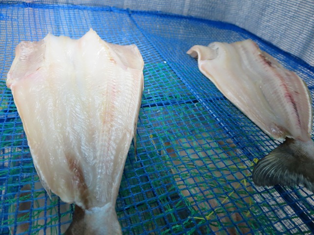 ファイル 128-8.jpg