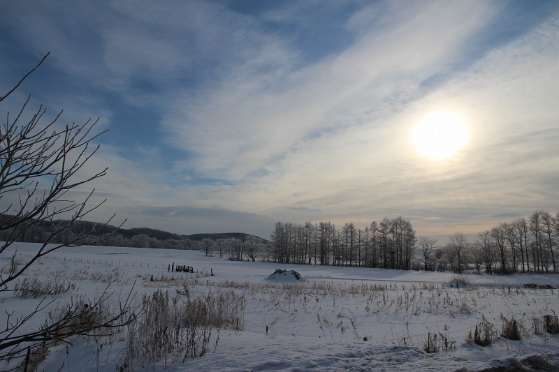 ファイル 13-3.jpg