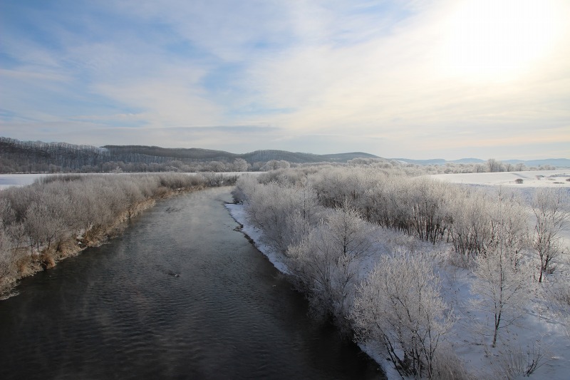 ファイル 13-5.jpg