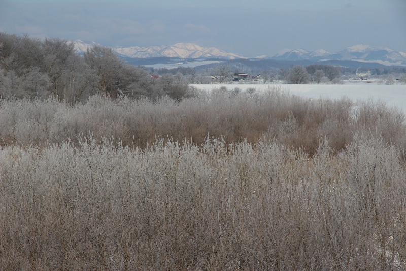 ファイル 13-6.jpg