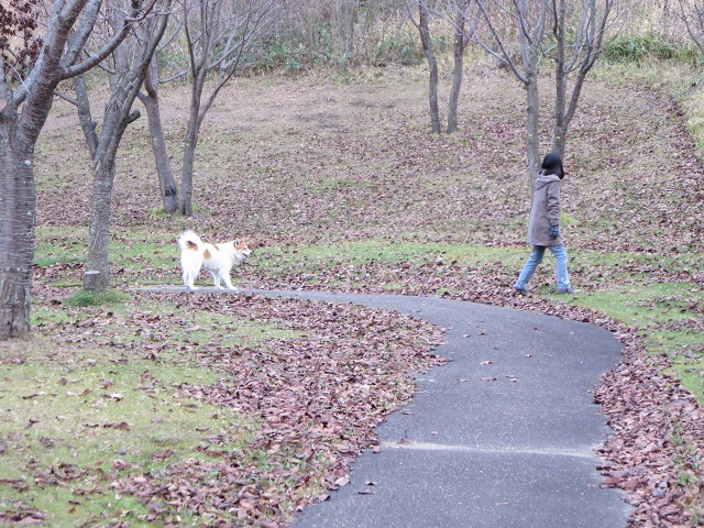 ファイル 131-3.jpg