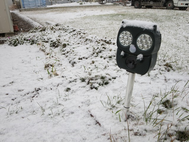 ファイル 132-2.jpg