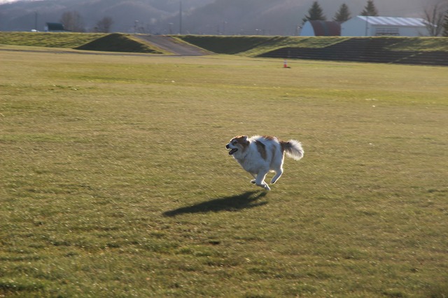 ファイル 133-1.jpg