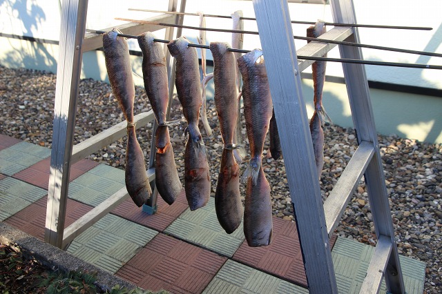 ファイル 133-2.jpg