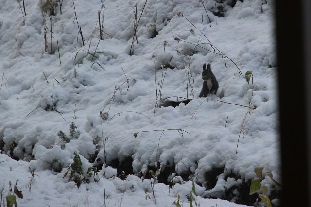 ファイル 135-4.jpg