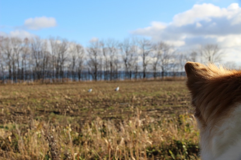 ファイル 137-1.jpg