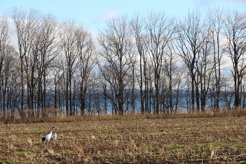 ファイル 137-3.jpg