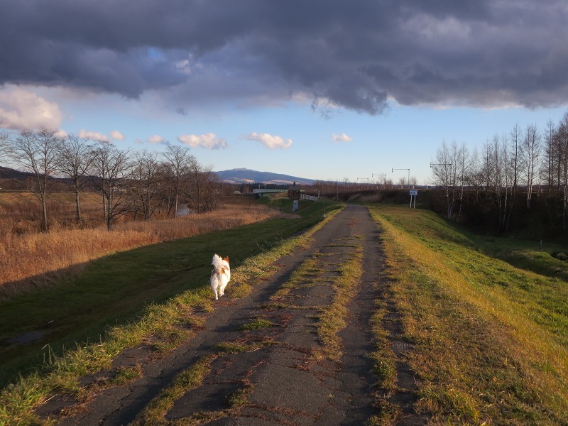 ファイル 138-3.jpg