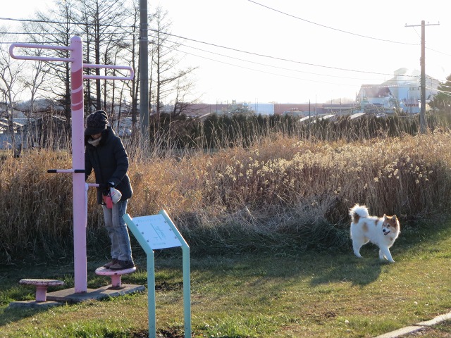 ファイル 138-7.jpg