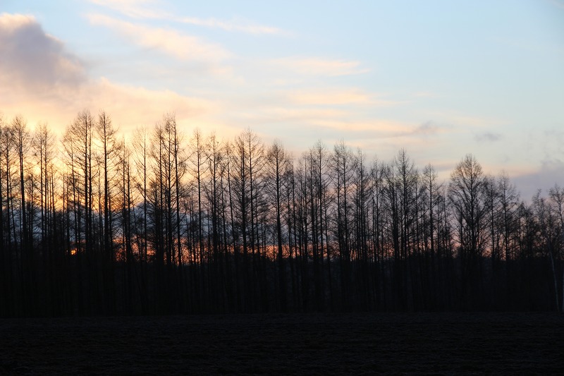 ファイル 141-1.jpg