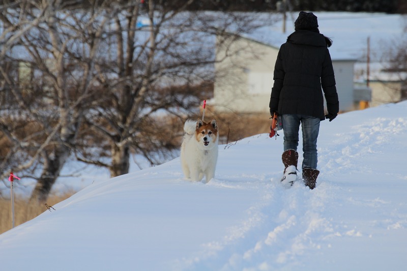 ファイル 143-1.jpg