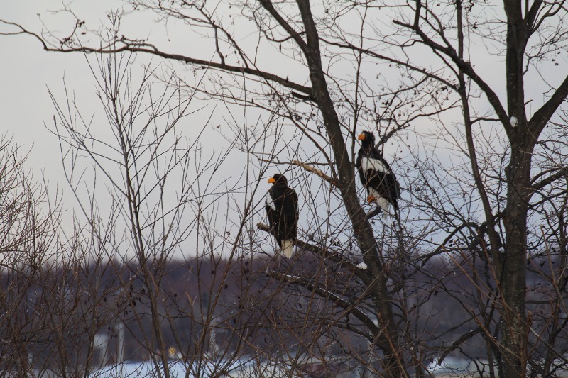 ファイル 143-2.jpg