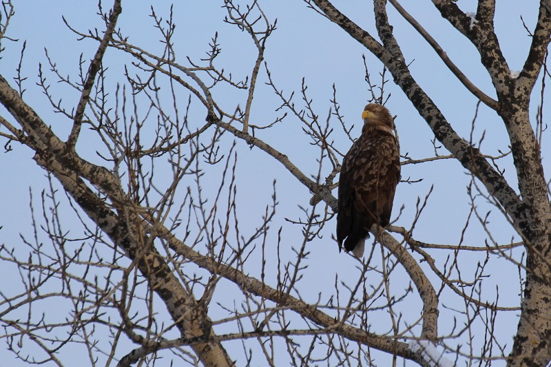 ファイル 143-3.jpg