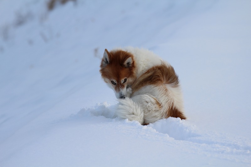 ファイル 143-4.jpg