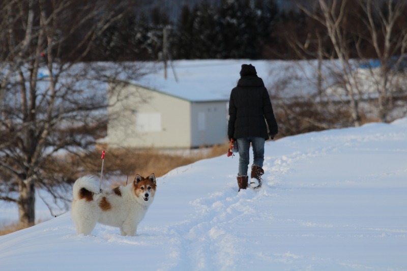 ファイル 143-8.jpg