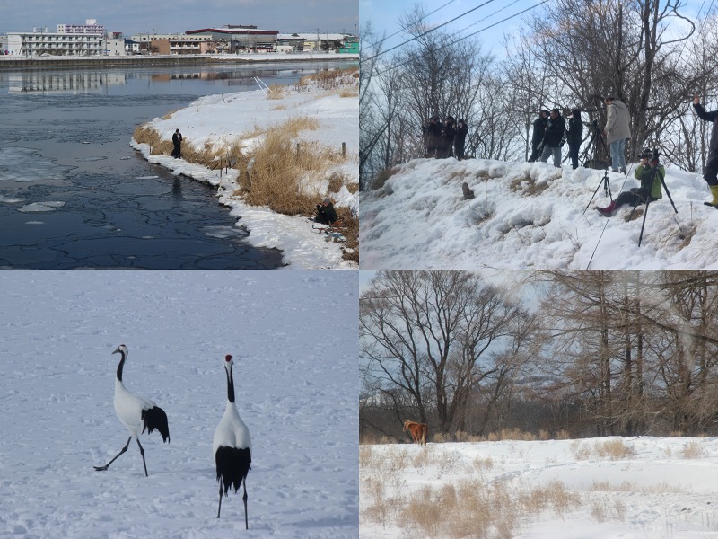 ファイル 15-4.jpg