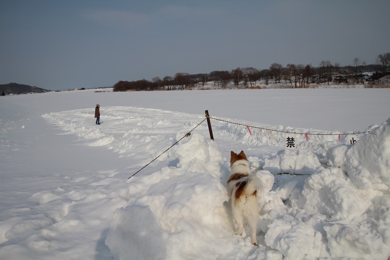 ファイル 17-1.jpg