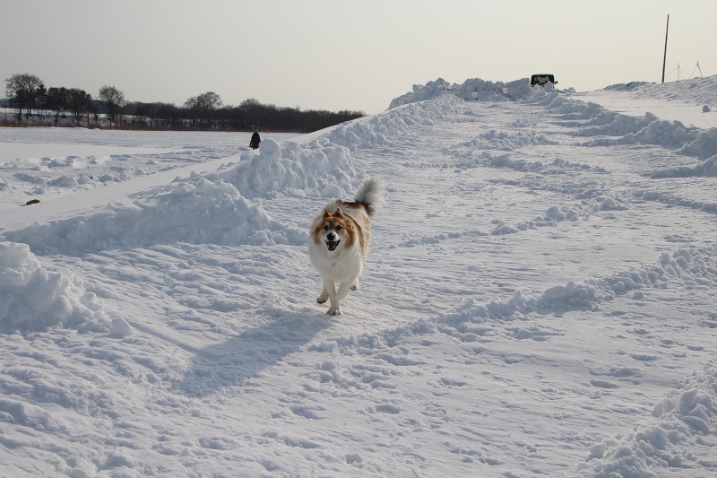 ファイル 17-3.jpg