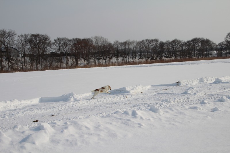 ファイル 17-4.jpg