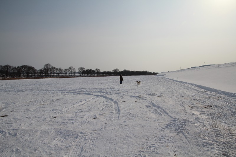 ファイル 17-5.jpg