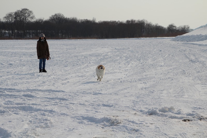 ファイル 17-6.jpg