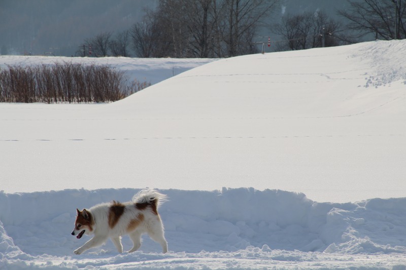 ファイル 17-7.jpg