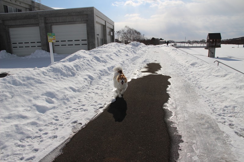 ファイル 18-1.jpg