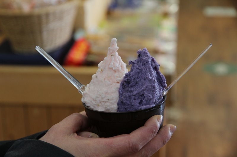 ファイル 18-2.jpg