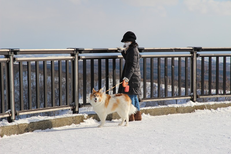 ファイル 18-8.jpg