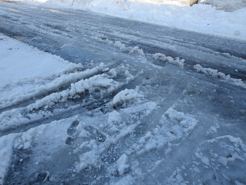 ファイル 19-1.jpg