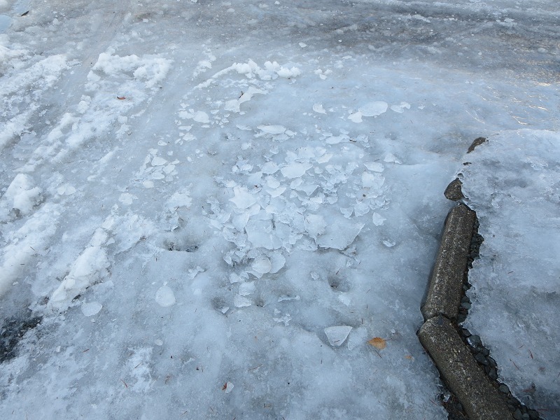 ファイル 19-2.jpg