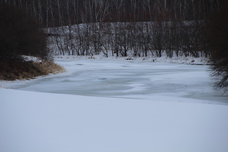 ファイル 20-5.jpg