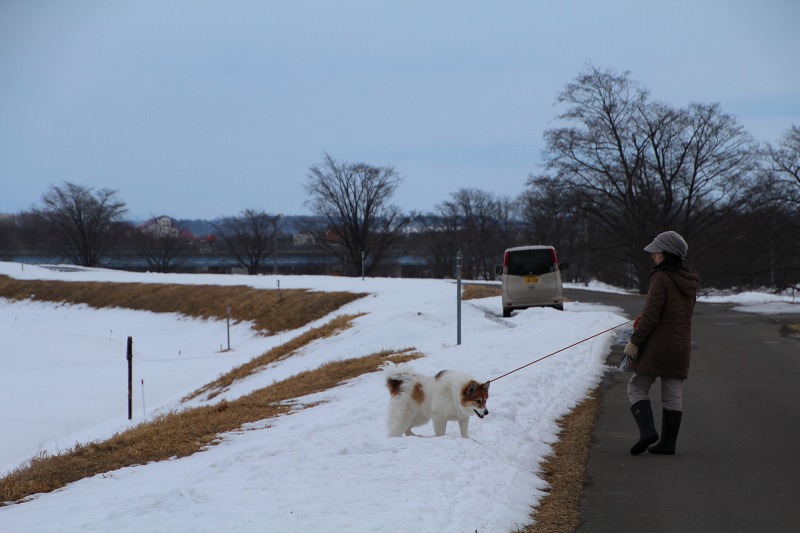 ファイル 20-7.jpg