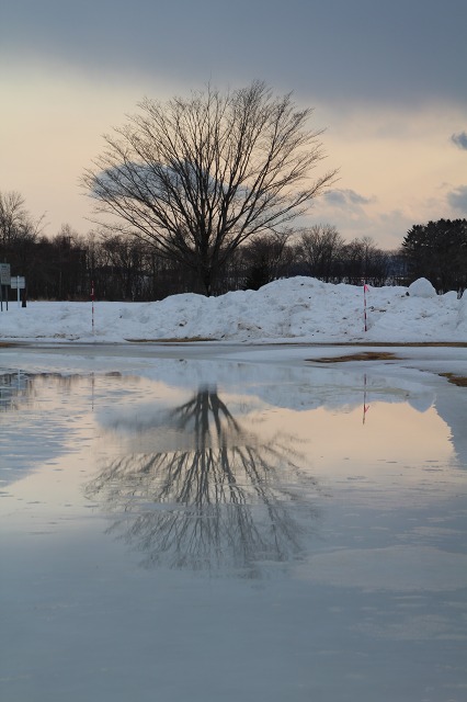 ファイル 20-9.jpg