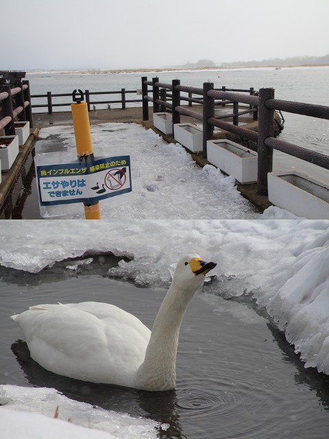 ファイル 21-6.jpg