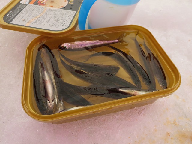 ファイル 22-4.jpg