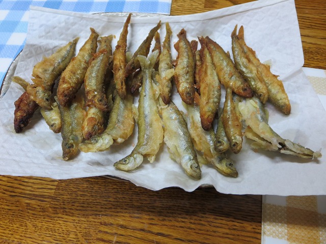 ファイル 22-5.jpg