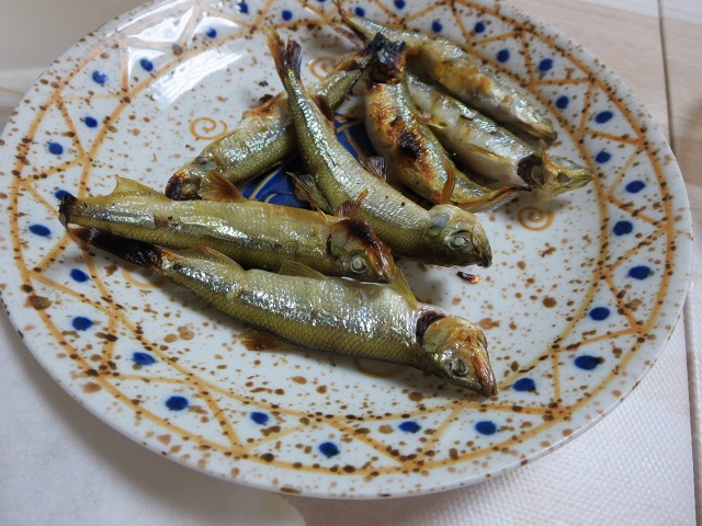 ファイル 24-6.jpg