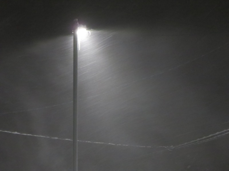 ファイル 25-7.jpg